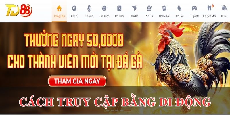 Cách truy cập TD88 nhanh chóng bằng điện thoại