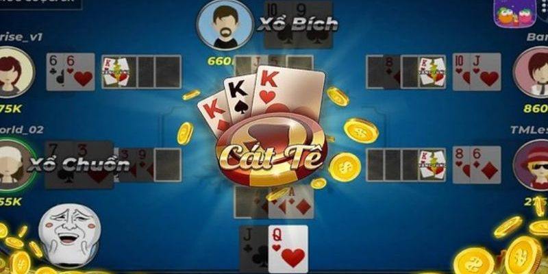 Cách chơi Catte đơn giản dễ hiểu nhất cho người mới bắt đầu